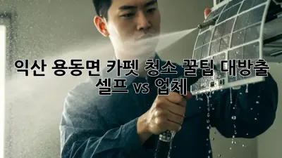 익산 용동면 카펫 청소🧹✨ 꿀팁 대방출! [셀프 vs 업체]